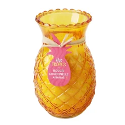 Bougie citronnelle ananas 2ass