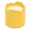 Bougie citronnelle pot palmes