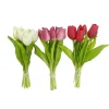 Bouquet de tulipes
