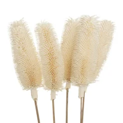 Bouquet seche
