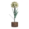 Decoration de table fleur beige/