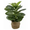 Ficus lyrata artificiel panier