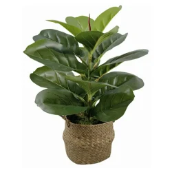Ficus lyrata artificiel panier