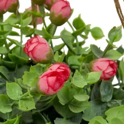 Fleurs suspendre