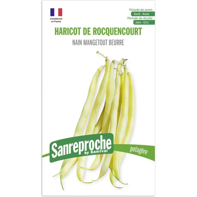 Graines haricot beurre