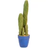Grand cactus dans pot h66cm