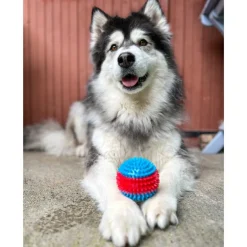 Grande balle pour chien
