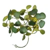 Guirlande solaire eucalyptus