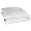 Lot 2 oreillers 60x60cm
