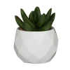 Mini succulente artificielle