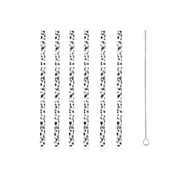Paille en verre x6 + nettoyeur