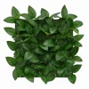 Panneau vegetal 35 x 35cm