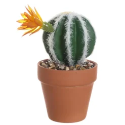 Petit cactus pot terracotta