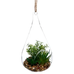 Plante goutte verre