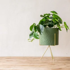Pot en ceramique pied dore vert