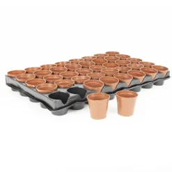Pots pour semis x40