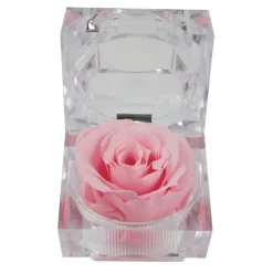 Rose eternelle dans son ecrin
