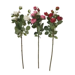 Roses en tige
