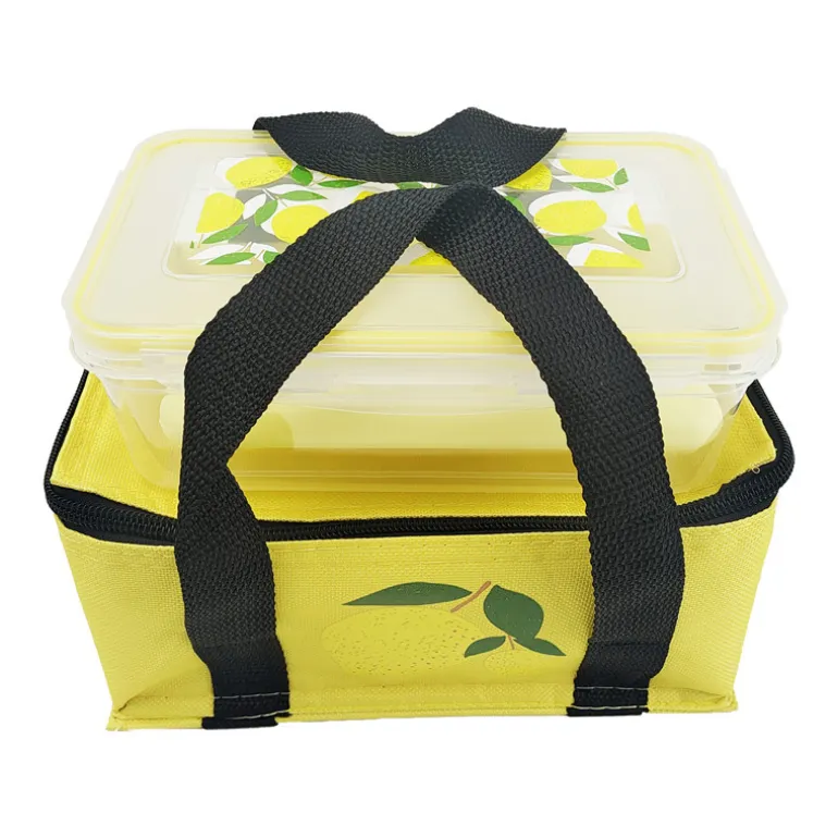 Sac isotherme + boite + pack de