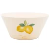 Saladier plastique d26cm citron