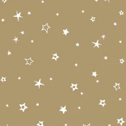 Serviette x50 33x33 2plis villag