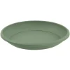Soucoupe marina 26cm laurier