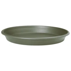 Soucoupe o32cm eucalyptus