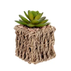 Succulente artificielle pot tres