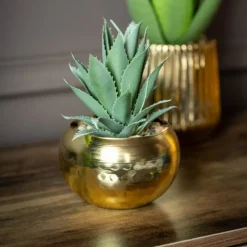 Succulente pot or