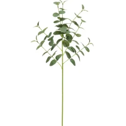 Tige eucalyptus artificiel