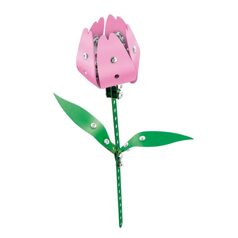 Tulipe a construire