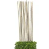 Tuteurs en bambou 110cm x15