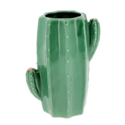 Vase cactus